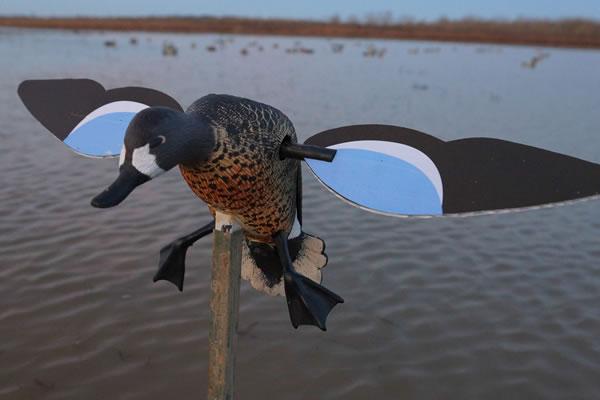 MOJO Blue Wing Teal Parts