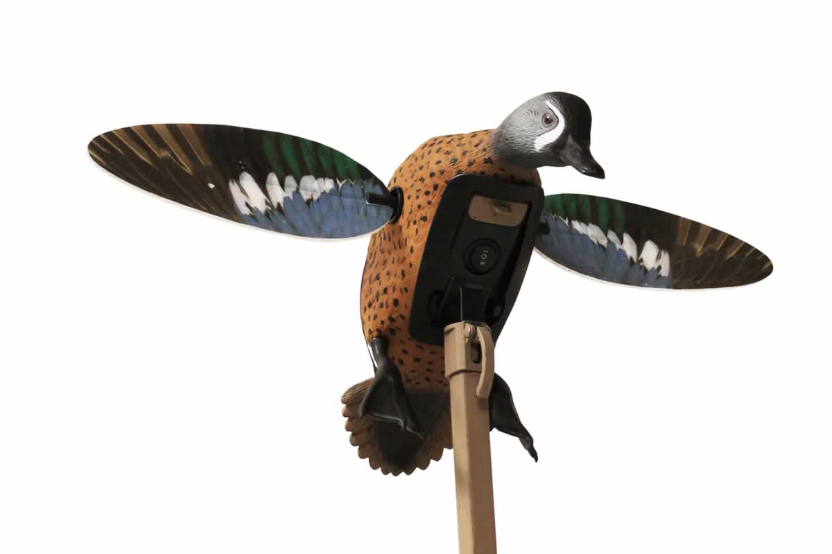 Blue wing teal decoys best sale