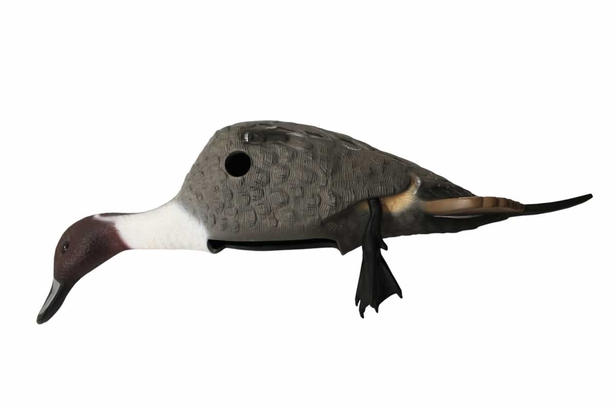 hw10138_es_pintail_skin_w_feet